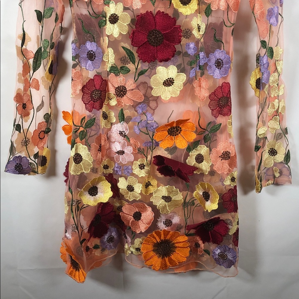Finesse Sheer Long Sleeve Mini Dress with Fairy Boho Floral Embroidery - Picture 4 of 12